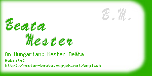 beata mester business card