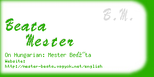 beata mester business card